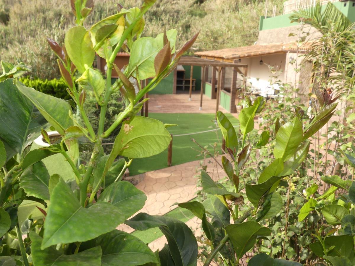 El Brezal Hébergement de vacances El Palmital